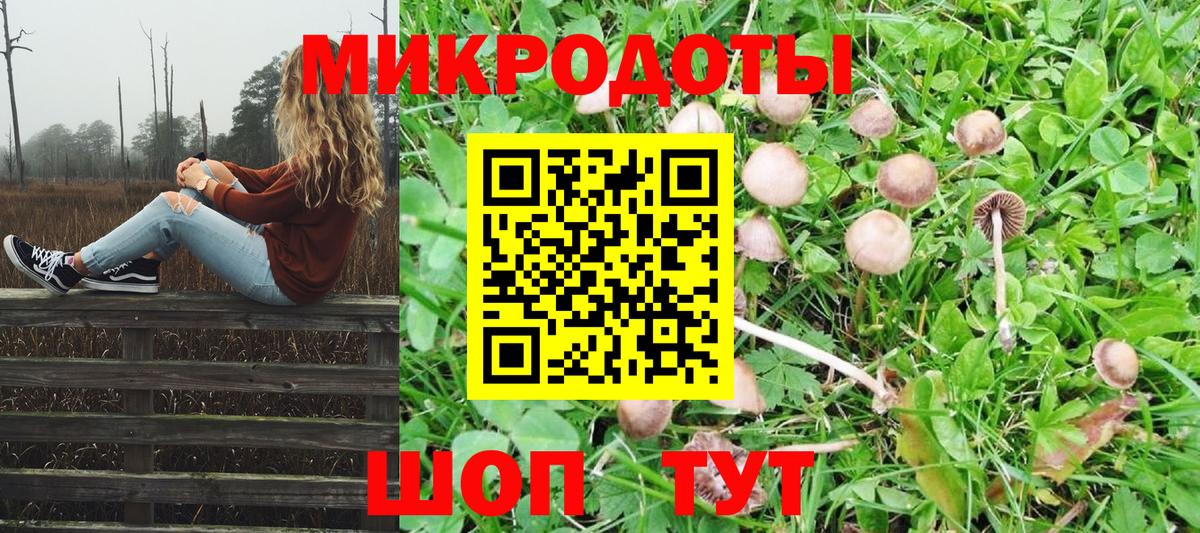 Псилоцибиновые грибы Cubensis  Вход с VPN  Добрянка 
