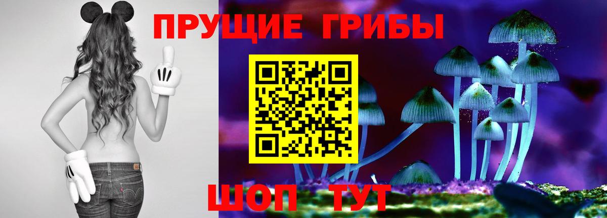 Псилоцибиновые грибы GOLDEN TEACHER Добрянка